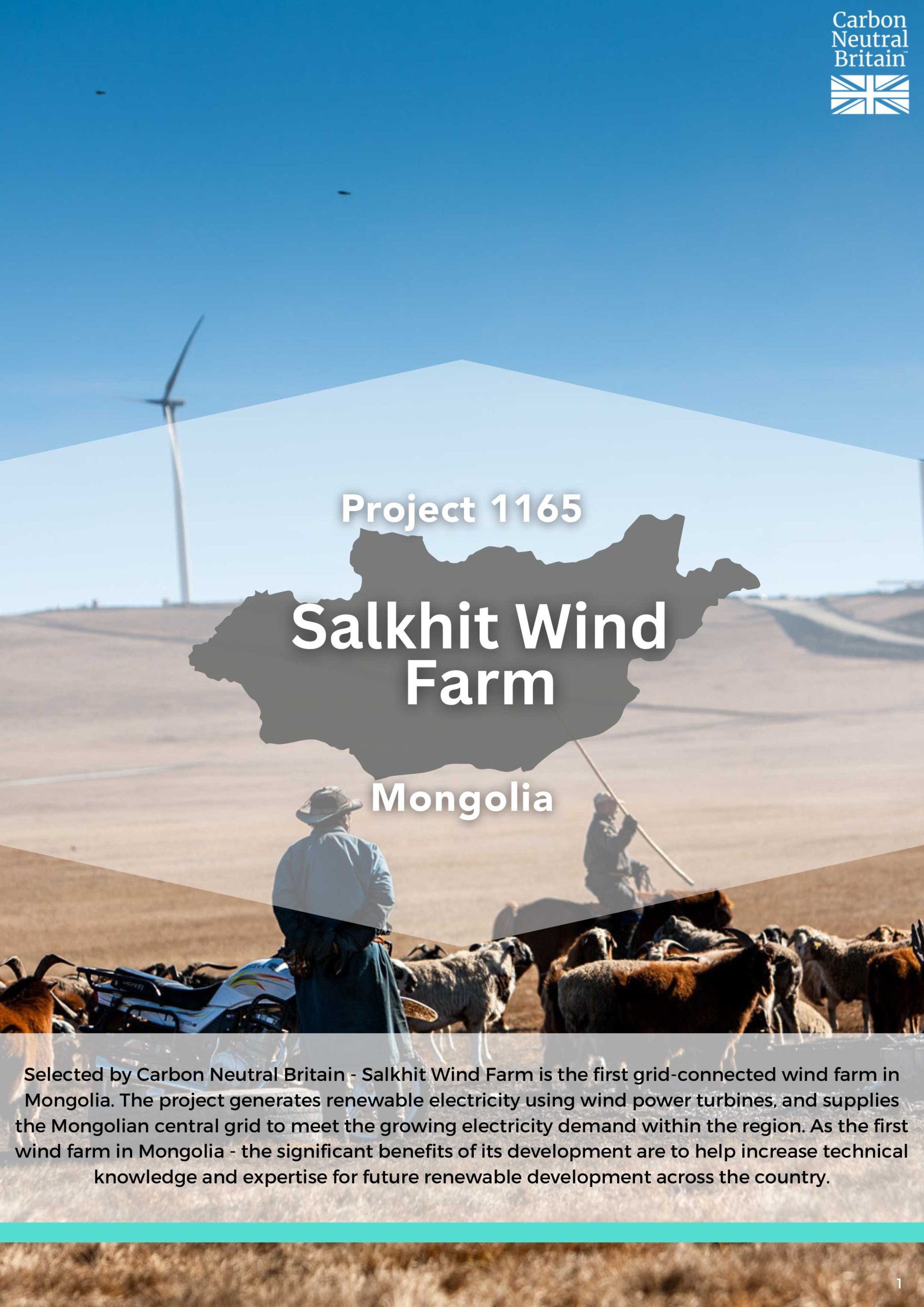 Salkhit Wind Farm Mongolia